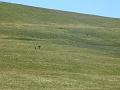 Descending to Sticks Pass 2